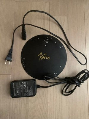 RARE TAGUCHI VOICE ACTIVE SPEAKER DISCONTINUED WITH ORIGINAL WOOD CASE JP HIFI01