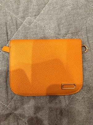 DELVAUX VAGABOND 3 PIECE SET WALLET WOMEN RARE MODEL LIMITED EDITION