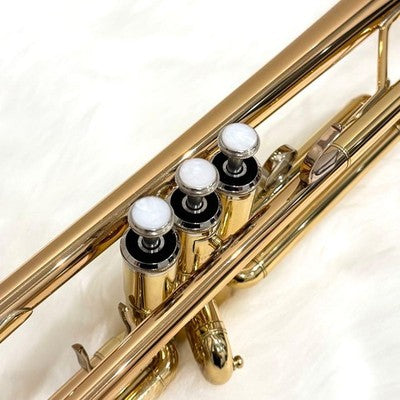 YAMAHA YTR-4335G BB TRUMPET GOLD BRASS BELL W/ HARD CASE & ACCESSORIES JAPAN