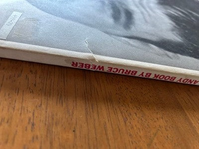 BRUCE WEBER THE ANDY BOOK ART PHOTOGRAPHY PHOTO BOOK USED WITH COVER DAMAGE