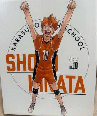 HAIKYUU MIKASA COLLAB VOLLEYBALL MASCOT TOKYO EXHIBITION LIMITED JAPAN