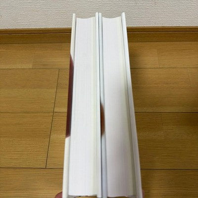 YOSHITOMO NARA COMPLETE WORKS 1984 2010 ART BOOK2 VOLUMES HARDCOVER JAPAN