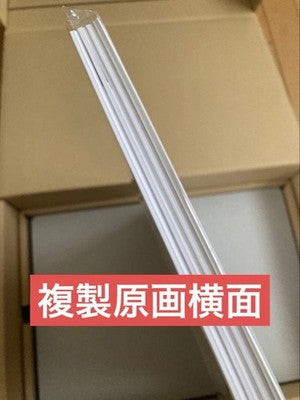 ATTACK ON TITAN SHINGEKI NO KYOJIN FLY ART BOOK LIMITED SET OFFICIAL GOODS