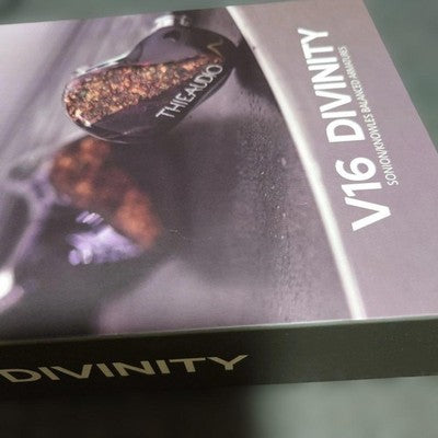 THIEAUDIO V16 DIVINITY 16BA IN-EAR MONITORS HIGH-END EARPHONES W/ CASE USED