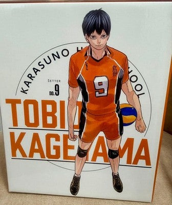 HAIKYUU MIKASA COLLAB VOLLEYBALL MASCOT TOKYO EXHIBITION LIMITED JAPAN