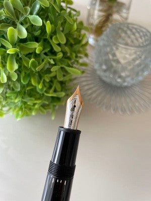 MONTBLANC MEISTERSTUCK 146 FOUNTAIN PEN 14K GOLD F NIB WHITE INTERIOR UNUSED