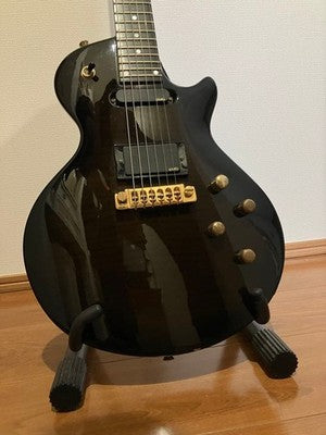 CATALYST JAKKERMAN JAN AKKERMAN SIGNATURE ELECTRIC GUITAR EMG PIEZO RARE
