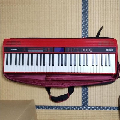 ROLAND GO:KEYS GO-61K 61-KEY KEYBOARD W/ SOFT CASE MUSIC STAND USB CABLE
