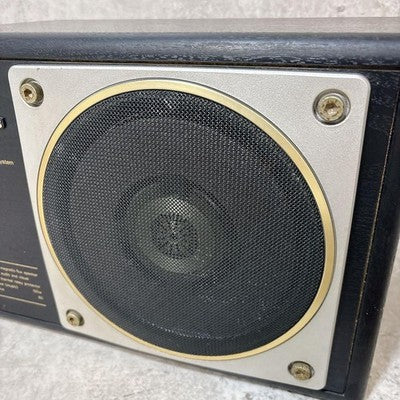TECHNICS SB-RX30 COAXIAL FLAT SPEAKER SYSTEM PAIR BOOKSHELF HORIZONTAL BLACK