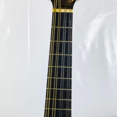 RAFFAELE RM-2 MANDOLIN SHOJIRO ISHIKAWA MODEL WITH HARD CASE FOR REPAIR USED