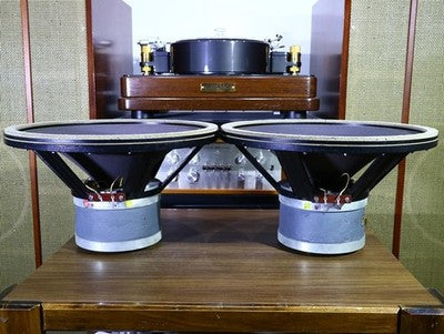 SIEMENS C72233-A22-A1 15-INCH EURODYNE VAC ALNICO WOOFER UNIT PAIR
