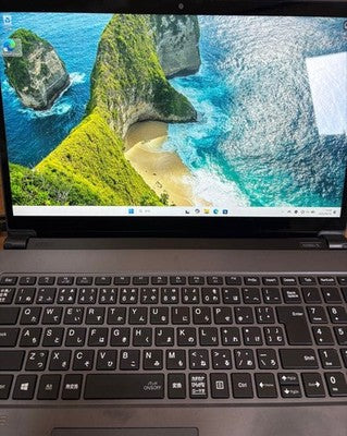 NEC LAVIE NX860 CORE I7 8TH GEN 16GB RAM 256GB SSD BLU-RAY WIN11 LAPTOP PC
