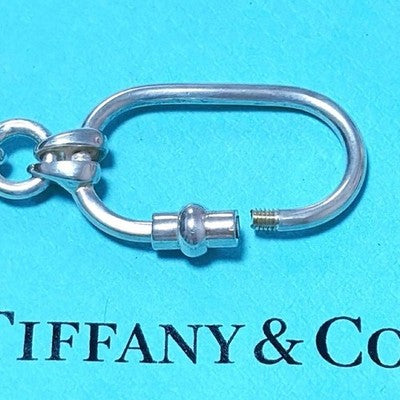TIFFANY & CO. TURTLE KEYCHAIN CHARM SV925 WITH BAG & BOX MADE IN ITALY