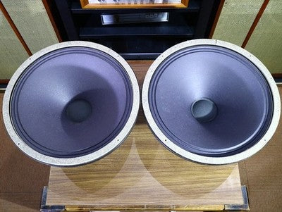 SIEMENS C72233-A22-A1 15-INCH EURODYNE VAC ALNICO WOOFER UNIT PAIR