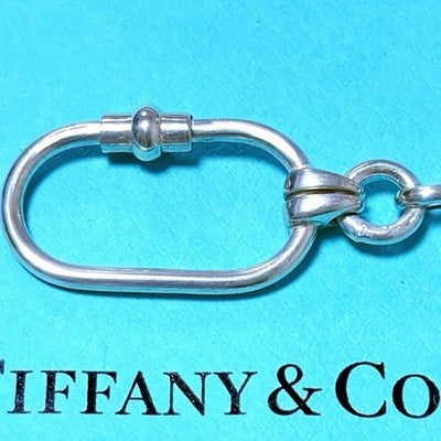 TIFFANY & CO. TURTLE KEYCHAIN CHARM SV925 WITH BAG & BOX MADE IN ITALY