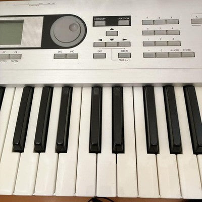 KORG TRITON LE61 61-KEY SYNTHESIZER MUSIC WORKSTATION W/ ADAPTER MANUALS