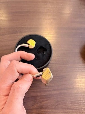 FINAL A10000 COLLECTOR'S EDITION WIRED EARPHONES MMCX USED NEAR MINT