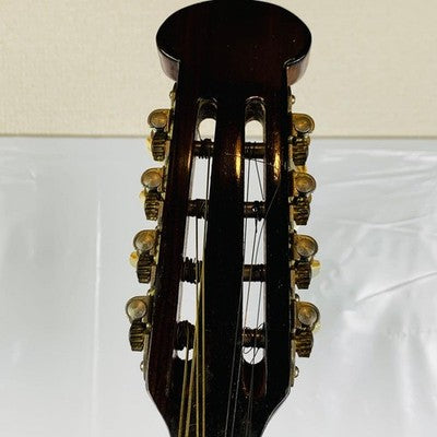 RAFFAELE RM-2 MANDOLIN SHOJIRO ISHIKAWA MODEL WITH HARD CASE FOR REPAIR USED