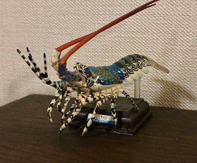 NATURE TECHNICOLOR TOBA AQUARIUM GACHA NISHIKI SHRIMP KITAN CLUB 3 FIGURE USED
