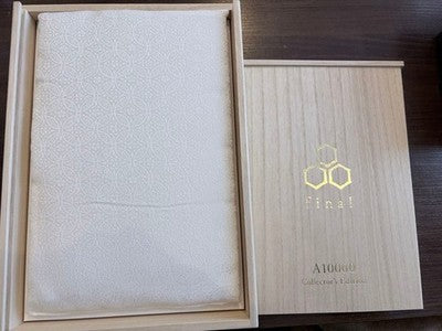 FINAL A10000 COLLECTOR'S EDITION WIRED EARPHONES MMCX USED NEAR MINT
