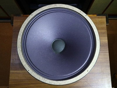 SIEMENS C72233-A22-A1 15-INCH EURODYNE VAC ALNICO WOOFER UNIT PAIR