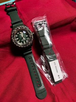 CITIZEN PROMASTER MARINE NB6006-02X MECHANICAL DIVERS MEN'S WATCH JAPAN