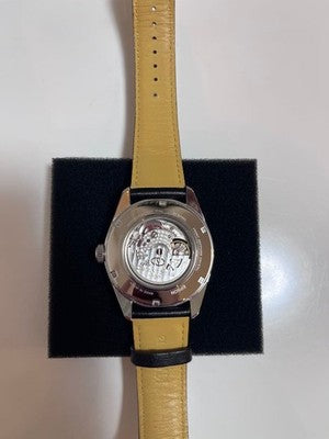 ORIENT STAR RK-AV0007S MEN'S WRISTWATCH AUTOMATIC 24 JEWELS IMPORT FROM JAPAN