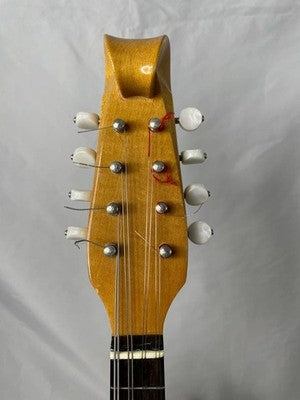 SUZUKI CLASSIC MANDOLIN M-100 W/ HARD CASE - BEAUTIFUL SOUND, MADE IN JAPAN