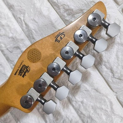 IBANEZ TALMAN CUSTOM FGN NECK FENDER PICKUPS RELIC ELECTRIC GUITAR