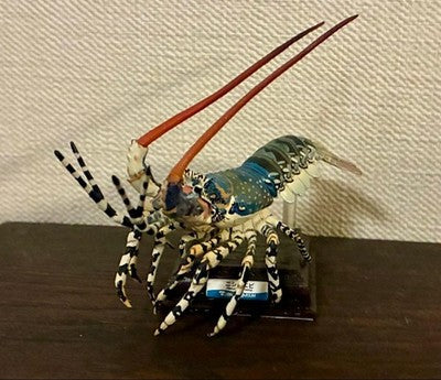 NATURE TECHNICOLOR TOBA AQUARIUM GACHA NISHIKI SHRIMP KITAN CLUB 3 FIGURE USED