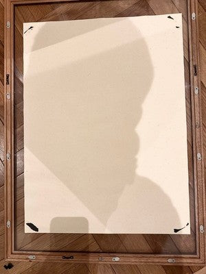 SHEPARD FAIREY OBEY LL COOL J BLUE SILK SCREEN POSTER EDITION 250 SIGNED FRAMED