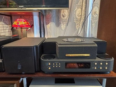 ESOTERIC P-0 VRDS FLAGSHIP CD TRANSPORT HIGH-END AUDIO PLAYER W/ REMOTE MANUAL