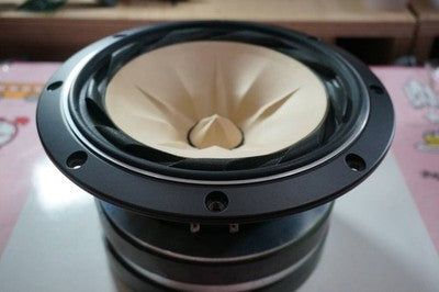 FOSTEX FE208ES VER.1 EARLY MODEL FULL-RANGE SPEAKER UNIT 1PC