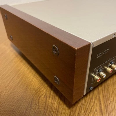 TECHNICS SL-P900 CD PLAYER MASH DAC HIGH-END AUDIO SIDE WOOD PANELS JAPAN