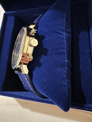SEIKO FATE GRAND ORDER ARTORIA CASTER SZER082 LIMITED WATCH BOX STAND JP