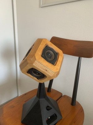 RARE TAGUCHI VOICE ACTIVE SPEAKER DISCONTINUED WITH ORIGINAL WOOD CASE JP HIFI01