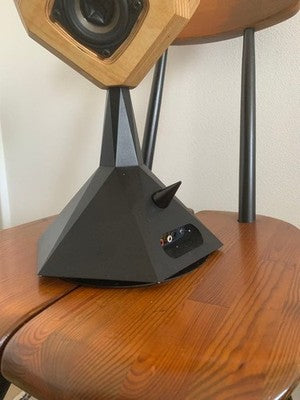 RARE TAGUCHI VOICE ACTIVE SPEAKER DISCONTINUED WITH ORIGINAL WOOD CASE JP HIFI01