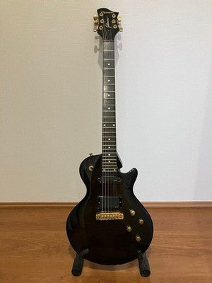 CATALYST JAKKERMAN JAN AKKERMAN SIGNATURE ELECTRIC GUITAR EMG PIEZO RARE