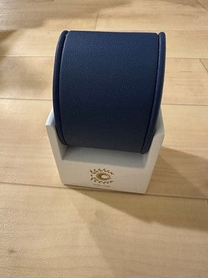 SEIKO FATE GRAND ORDER ARTORIA CASTER SZER082 LIMITED WATCH BOX STAND JP