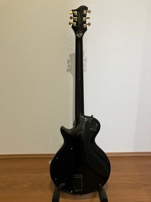 CATALYST JAKKERMAN JAN AKKERMAN SIGNATURE ELECTRIC GUITAR EMG PIEZO RARE