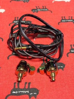 VICTOR JVC HA-FW10000 DETACHABLE CABLE WIRED EARPHONES - BLACK, WITH CASE, USED