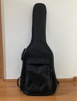 CATALYST JAKKERMAN JAN AKKERMAN SIGNATURE ELECTRIC GUITAR EMG PIEZO RARE
