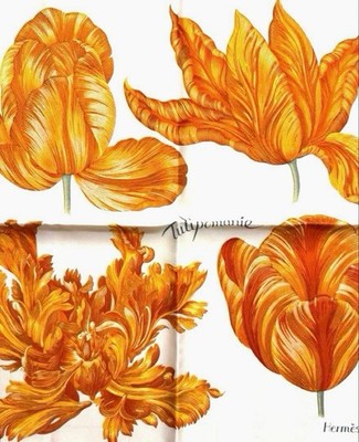 HERMES SILK SCARF GAVROCHE TULIP MANIA STYLISH MINT