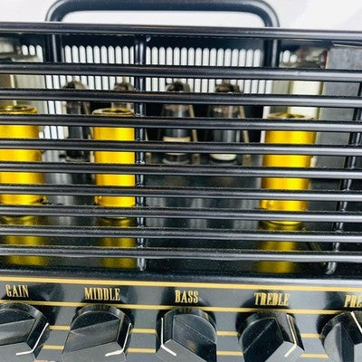 HAYDEN MOFO VACUUM TUBE GUITAR AMPLIFIER - SERVICED, POT REPLACED