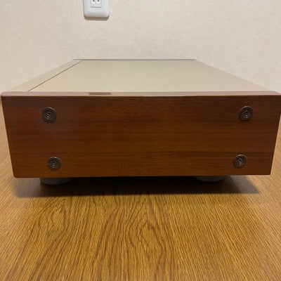 TECHNICS SL-P900 CD PLAYER MASH DAC HIGH-END AUDIO SIDE WOOD PANELS JAPAN
